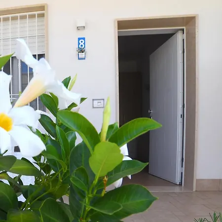B&B Il Fiorone Torre Canne Exterior photo